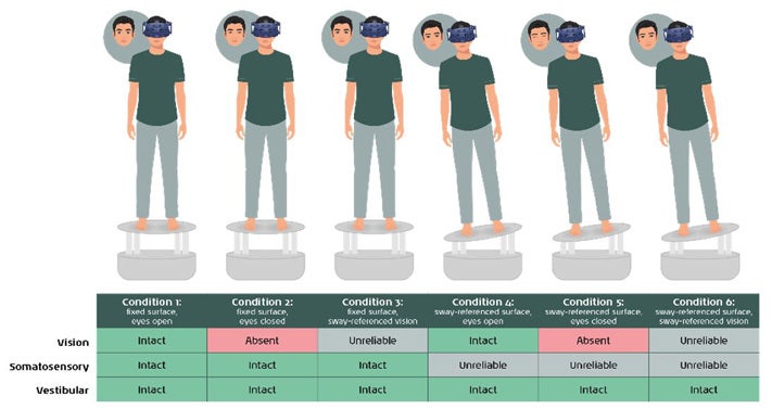 For condition 1, the surface is fixed and the eyes are open. All sensory inputs are intact. For condition 2, the surface is fixed, and the eyes are cLOSed. Vision is absent and the other sensory inputs are intact. For condition 3, the surface is fixed, and vision is sway-referenced. Vision is unreliable and the other sensory inputs are intact. For condition 4, the surface is sway-referenced, and the eyes are open. Somatosensory input is unreliable, and the other sensory inputs are intact. For condition 5, the surface is sway-referenced, and the eyes are cLOSed. Vision is absent, somatosensory input is unreliable, and vestibular input is intact. For condition 6, both the surface and vision are sway-referenced. Visual and somatosensory input are unreliable and vestibular input is intact.