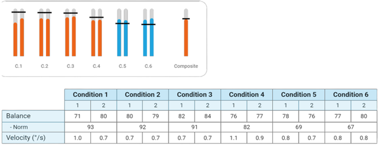 In this example, the patient has performed below normal for conditions 1 to 4 and above the abnormal cutoff for conditions 5 to 6. The composite score is below normal.